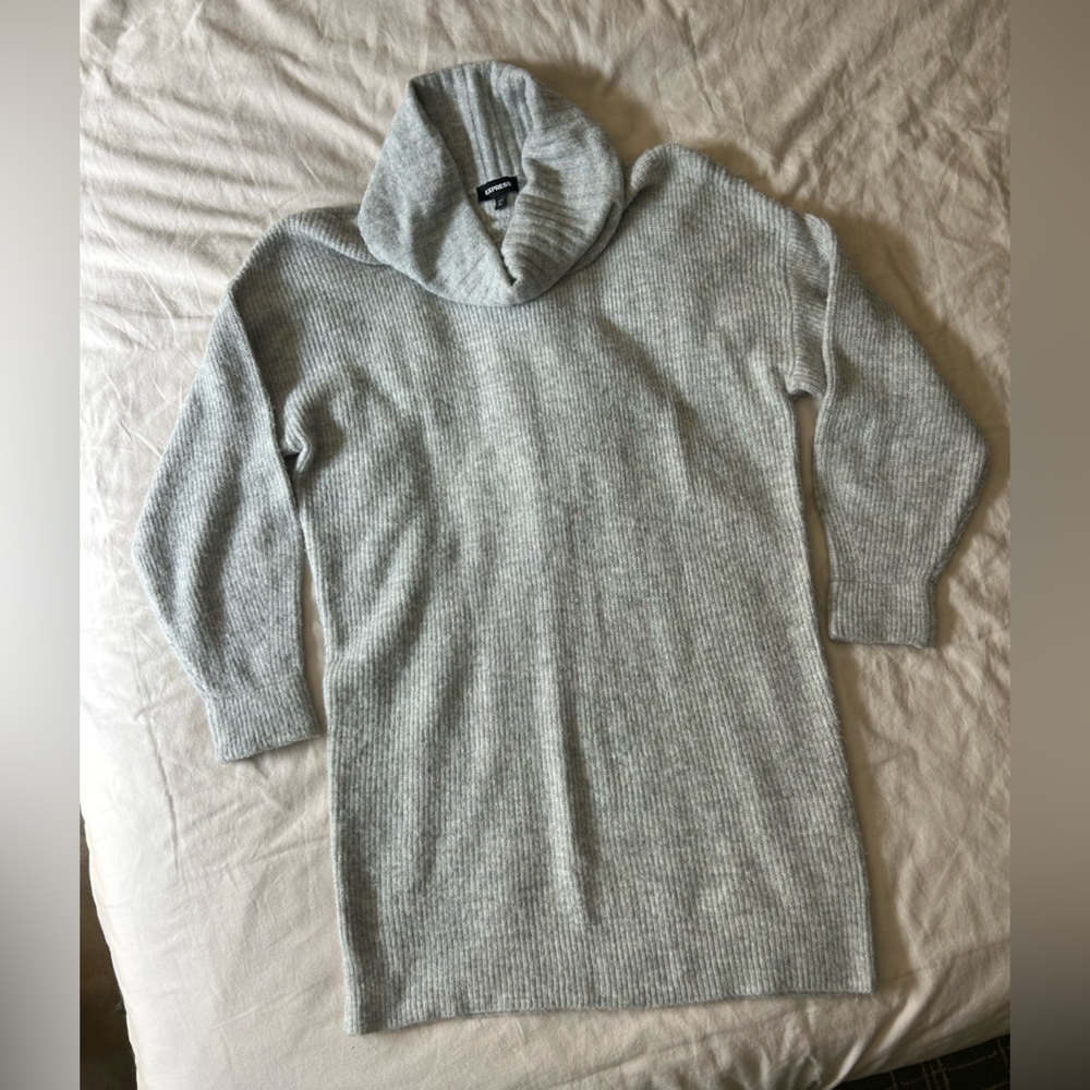 Express Knit Sweater Dress, Size Large